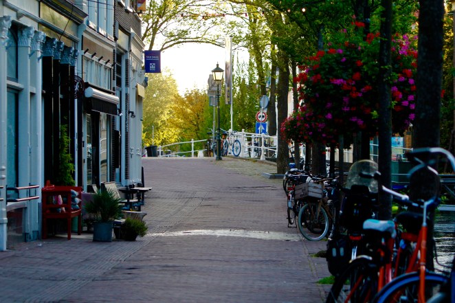 02F91B78-AEEE-48DB-8EBF-D01E72C2DEFE