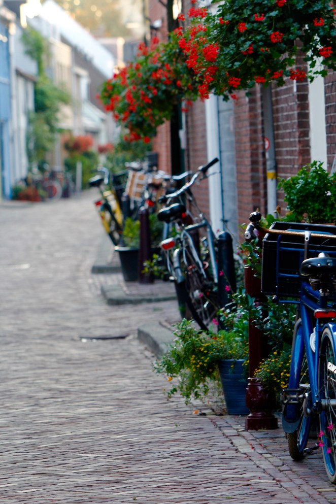 13E4431D-BA84-4EAE-BD6F-746738E15D9A