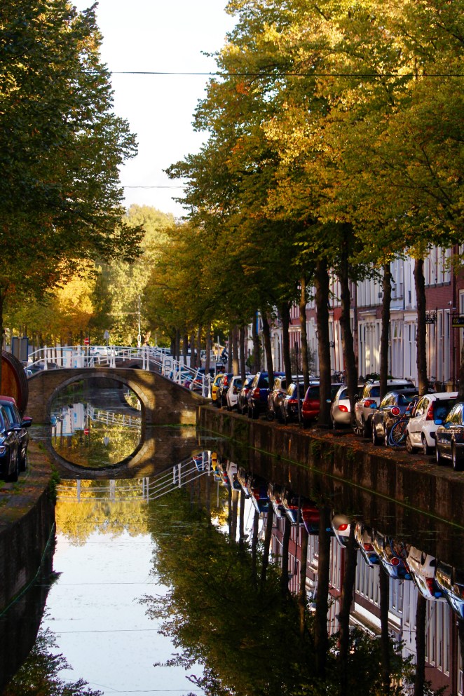 26A913F0-4B73-45B5-BFCD-1B1943D0D217