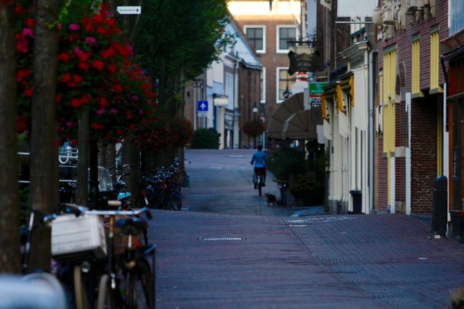 88A2C759-AF12-4B5B-B8D3-0C011703EB73