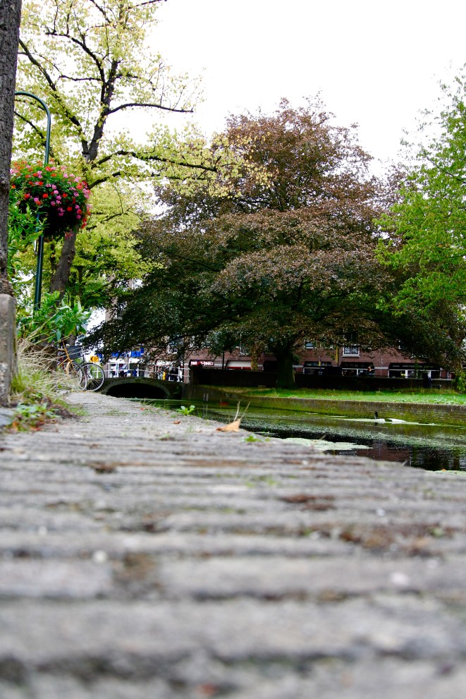 CC9D2DB7-B0B7-416E-ACAB-A852E848D3CF