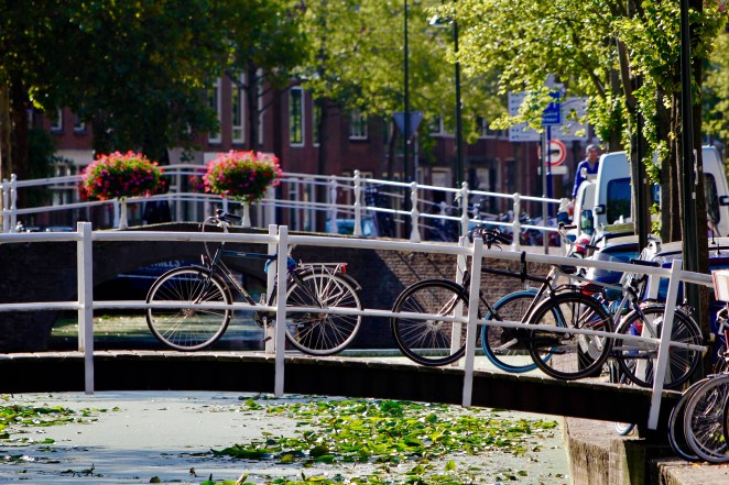 E107FEE9-2737-491E-94E4-0C675E7829AF