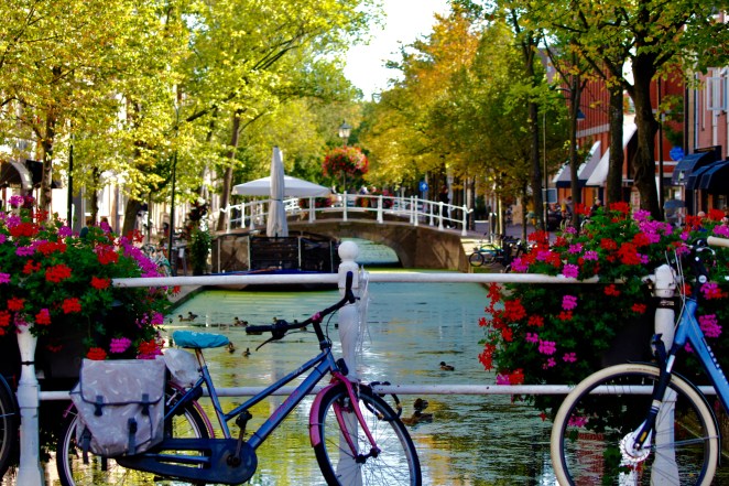 EB88E70D-D02A-44CE-BF2A-9AAFE52CE96A